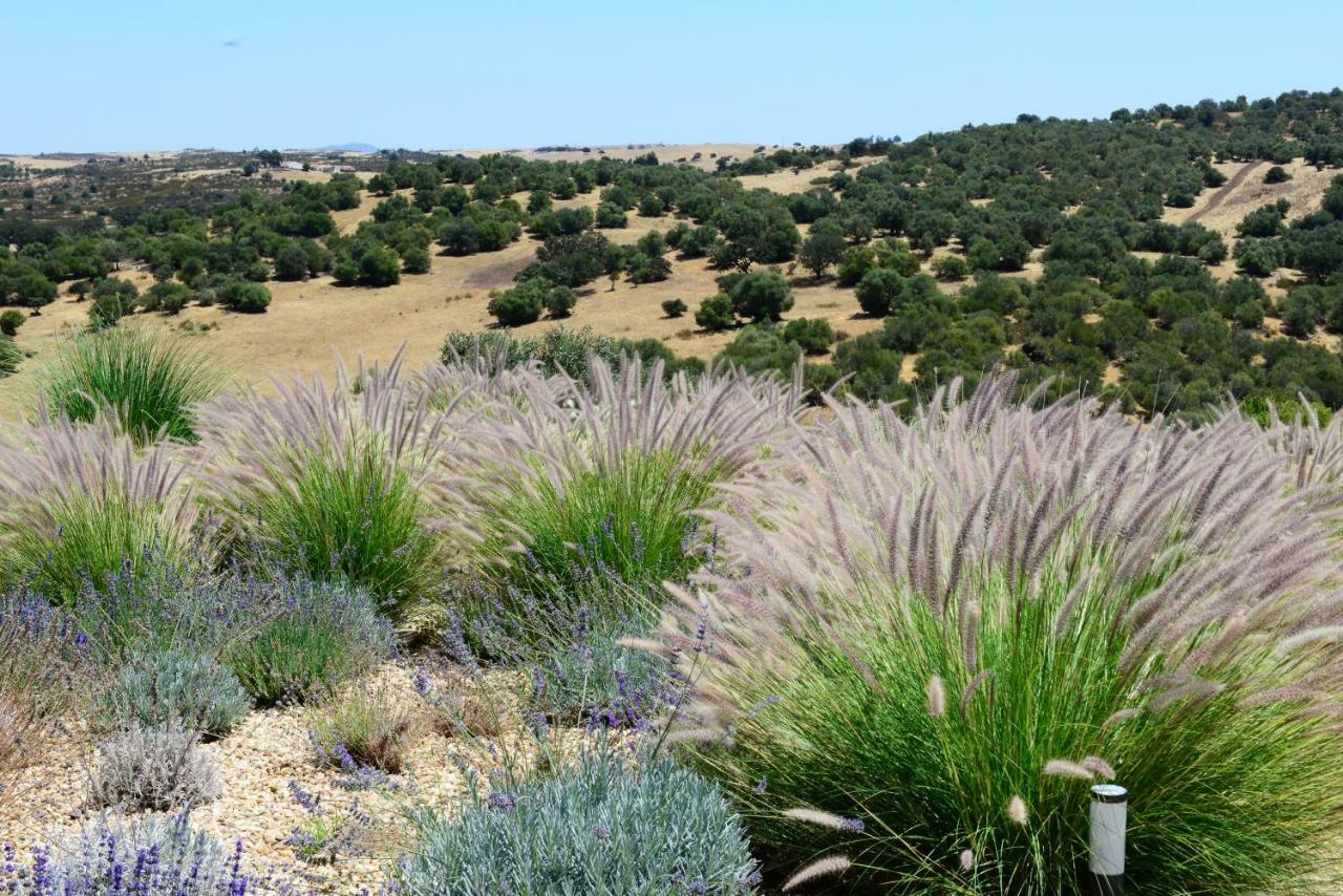 Vistas - Herdade Do Zambujal Castro Verde Eksteriør bilde